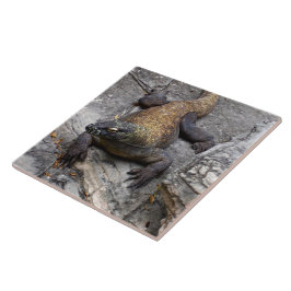 Komodo Dragon on Warm Rocks Kakelplatta