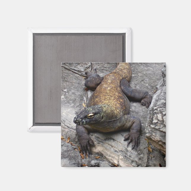 Komodo Dragon on Warm Stone Magnet (Front/Back)