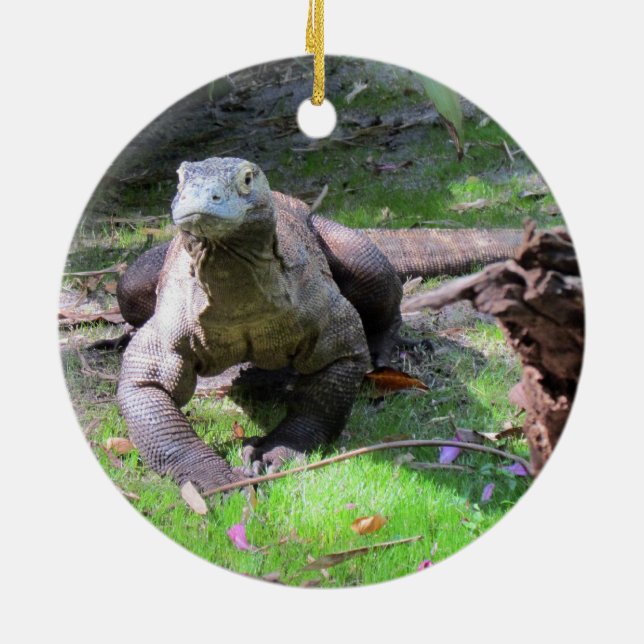 Komodo Dragon Ornament (Baksidan)