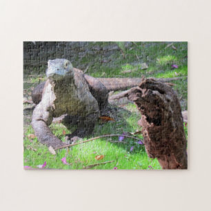 Komodo Dragon Puzzle Pussel