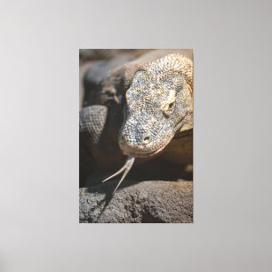 Komodo Dragon som håller ut Tunga Canvastryck