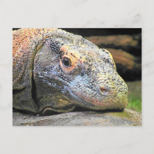 Komodo Dragon Stäng upp profil Vykort