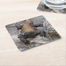 Komodo Dragon Stone Perch Underlägg Papper Kvadrat
