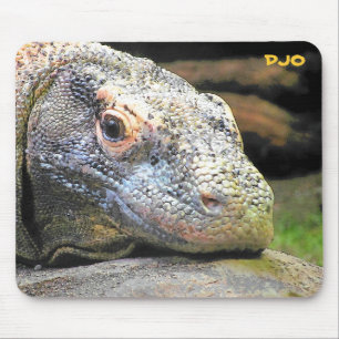 Komodo drake musmatta