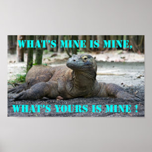 Komodo drake poster