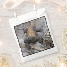 Komodo-drake Rocky Scen-väska