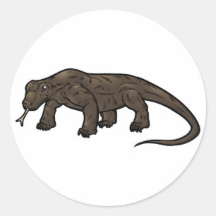 Komodo drake runt klistermärke