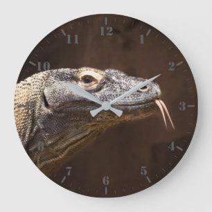 Komodo drake stor klocka