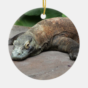 Komodo drake (Varanuskomodoensisen), Julgransprydnad Keramik