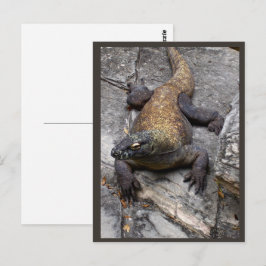Komodo-drakens klippiga scen vykort
