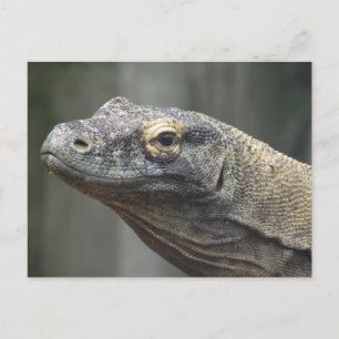 Komodo-drakpostkort Helg Vykort