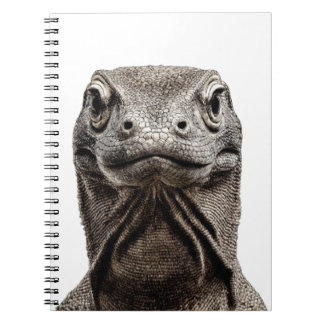 Komodo-huvud Anteckningsbok