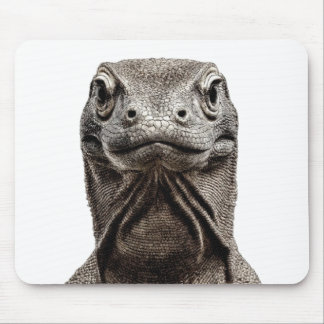 Komodo-huvud Musmatta