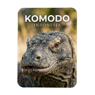 Komodo nationalpark Indonesien Magnet
