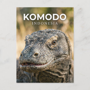 Komodo nationalpark Indonesien Vykort