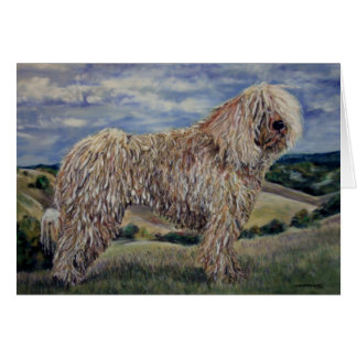 Komondor Hälsningskort