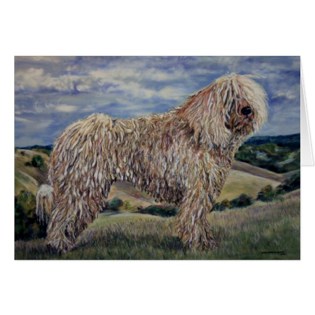 Komondor Hälsningskort (Framsidan Horizontal)
