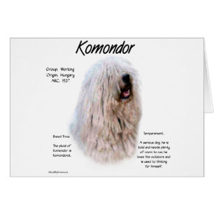 Komondor-historikdesign Hälsningskort