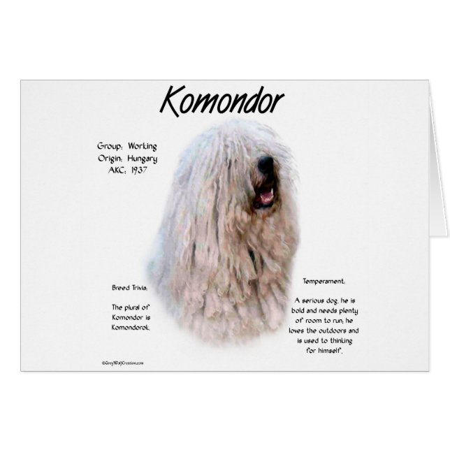 Komondor-historikdesign Hälsningskort (Framsidan Horizontal)