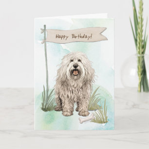 Komondor Hund aveln utanför födelsedagstecknet Kort