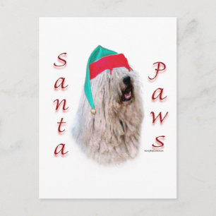 Komondor Santa Tassar Helg Vykort