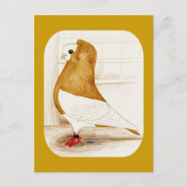 Komorner Gult Mag Pigeon 1973 Vykort (Framsida)