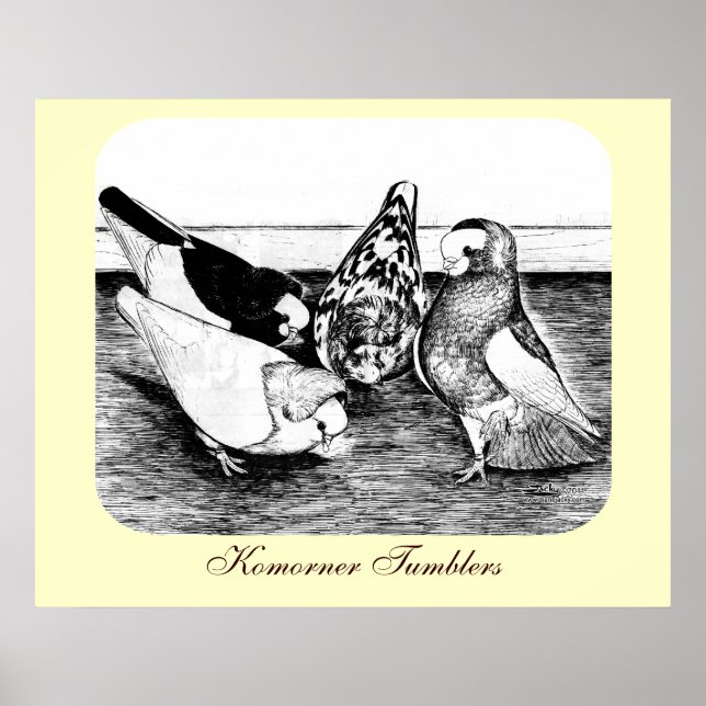 Komorner Tumbler-kvartetten Poster (Framsidan)