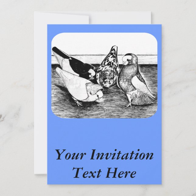 Komorner Tumbler Pigeon-kvartetten Inbjudningar (Framsida)