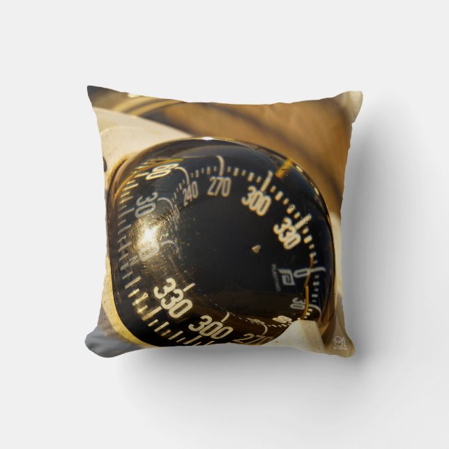 Kompas helpt navigeren en koer behouden.  kudde (Framsida)