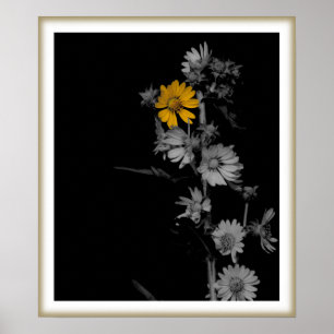 Kompassblommatryck Poster