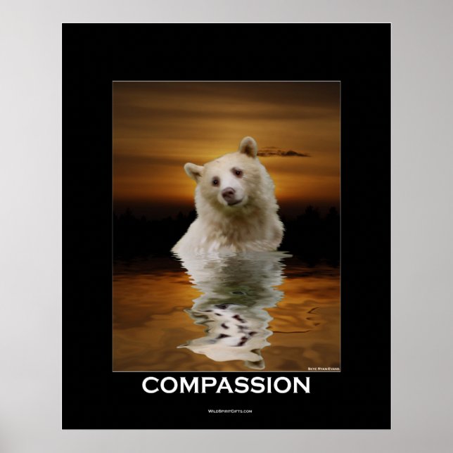 KOMPASSION (Spirit Bear)-Poster Poster (Framsidan)