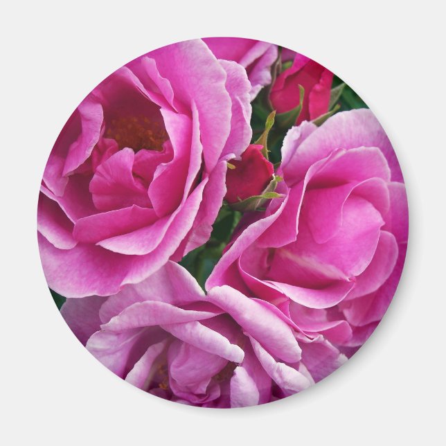 Kompassionerad vän magnet (Framsidan)