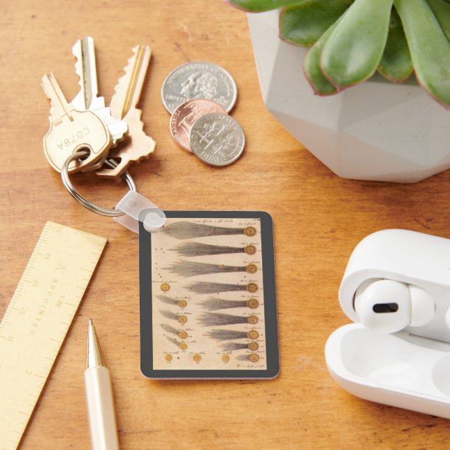 Kompetensbevis enligt Stanislaw Lubieniecki, Vinta Nyckelring (Skrivbord)