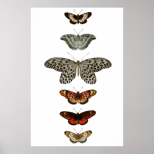 Kompilering av fjäril poster (Framsidan)