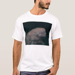 kompis belugaen tee shirt