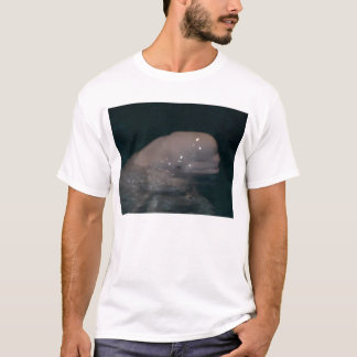 kompis belugaen tee shirt