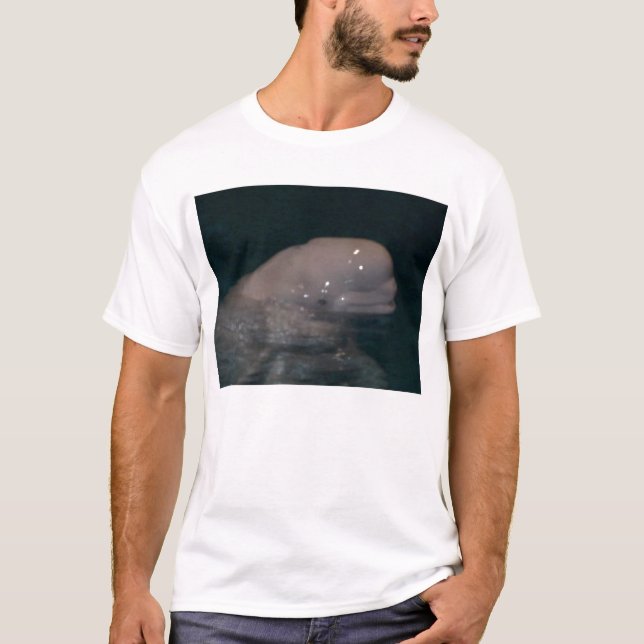 kompis belugaen tee shirt (Framsida)