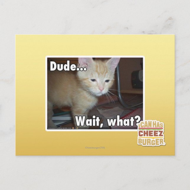 kompis vykort (Framsida)