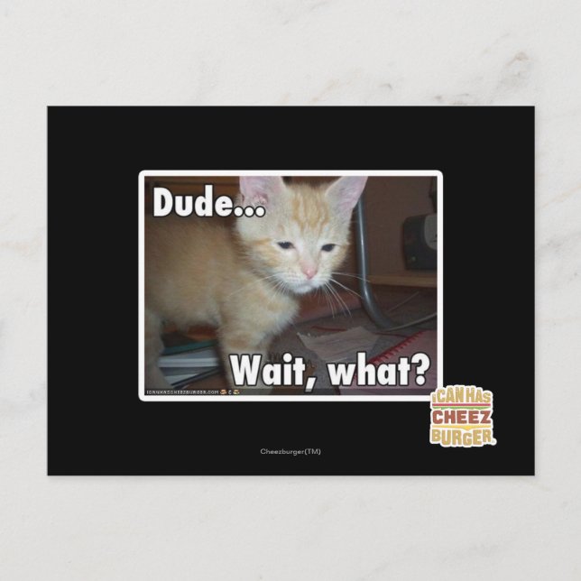 kompis vykort (Framsida)