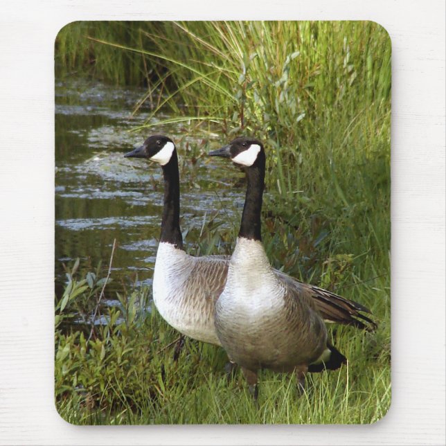 Kompisar för liv musmatta (Framsidan)