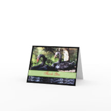 Kompisar för Livet Svarta Svanar Tacksamhetskort