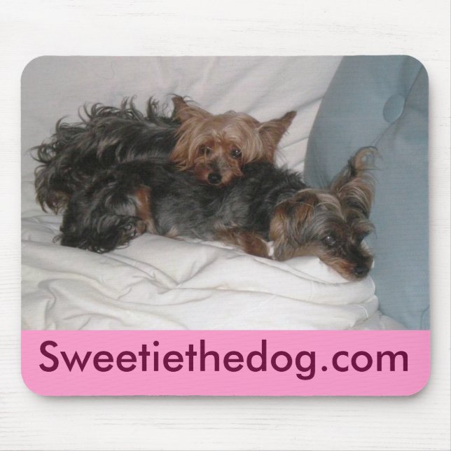 Kompisar Musmatta (Framsidan)