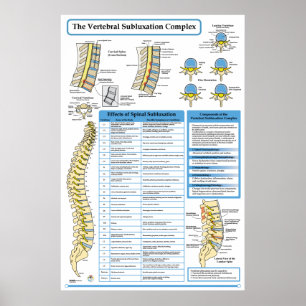 Komplex Poster i kretskoppling med Vertebral sublu