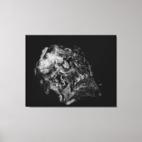 Komplexitet/Surreal skal