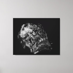 Komplexitet/surrealistiskt skal canvastryck