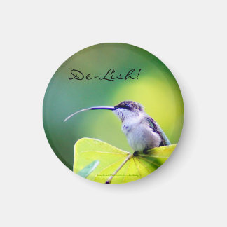 Komplikationer till Chef! Magnet