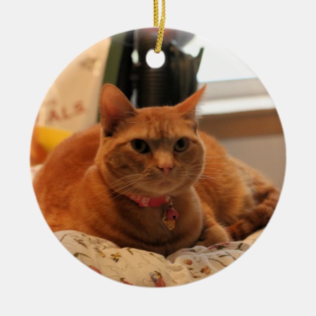 Komprimera katt julgransprydnad keramik (Framsidan)