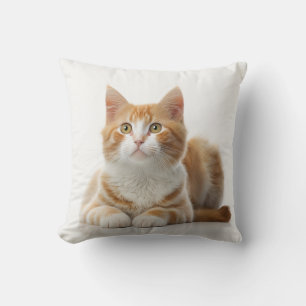 Komprimera ytlighet: Lazy Ginger Cat Pillow Kudde
