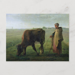 Kon, 1858 vykort