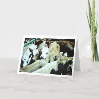 Kon behandla som ett barn kortet kort